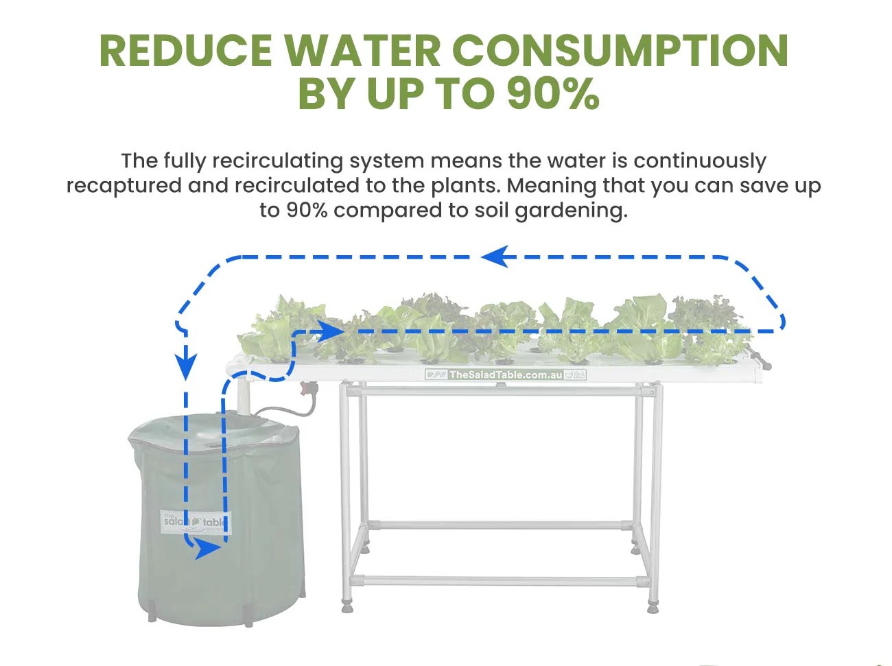 Sustainable Hydroponics: Reducing Water Usage